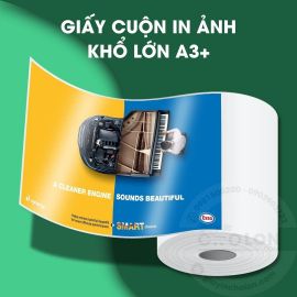 Giấy in ảnh khổ lớn A3+