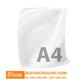 Vải  Silk in hình A4